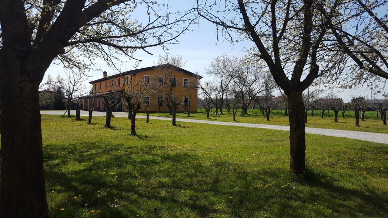 Agriturismo Borgo Borromeo Villa Rubano Exterior foto